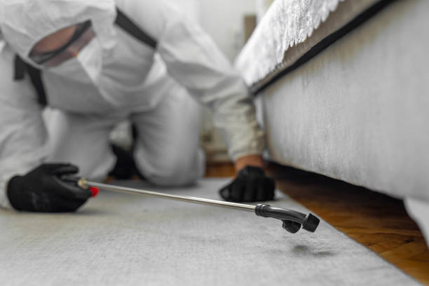 Professional Bed Bug Control technician working in Middlesborough, KY