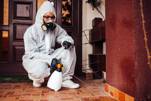 Reliable Bed Bug Control contractor in Middlesborough, KY by Nex Pest Control